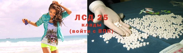 крисы Алексин