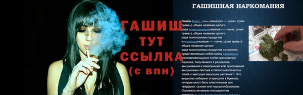 спиды Абаза