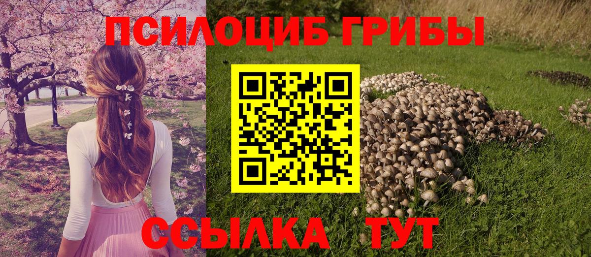 Псилоцибиновые грибы Magic Shrooms Карпинск